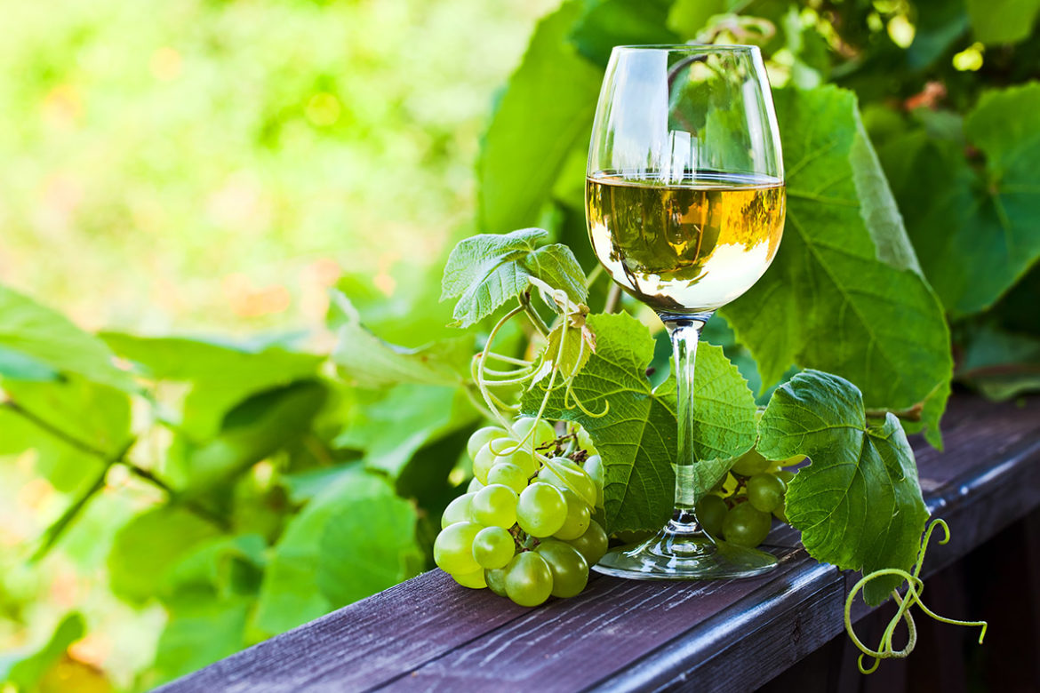 Você conhece o vinho verde?